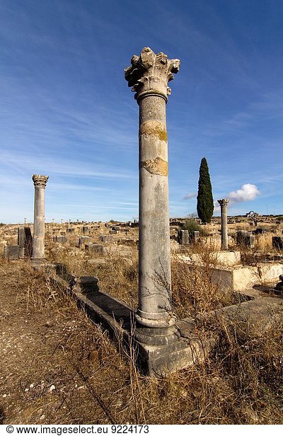 Ruine Marokko römisch Volubilis