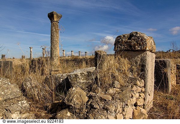 Ruine Marokko römisch Volubilis