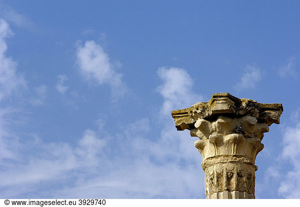 Ruine  Tempel der Diana  in der alten römischen Stadt Emerita Augusta  Merida  Provinz Badajoz  Ruta de la Plata  Spanien  Europa