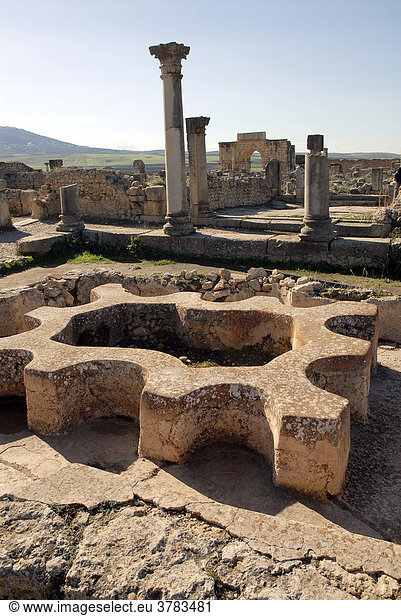 Ruinen (Badewanne) der antiken Römerstadt Volubilis, Marokko, Afrika