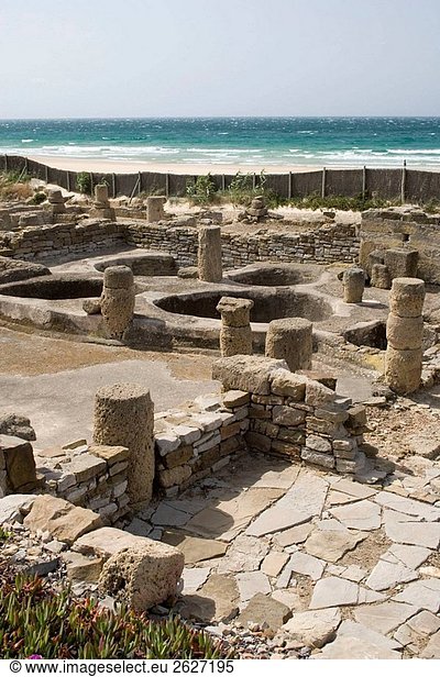Ruinen der alten römischen Stadt von Baelo Claudia  Tarifa. Cádiz  Andalusien  Spanien