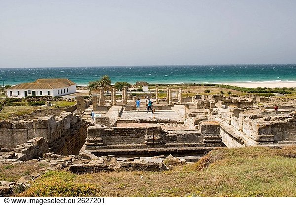 Ruinen der alten römischen Stadt von Baelo Claudia  Tarifa. Cádiz  Andalusien  Spanien