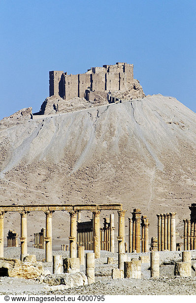 Ruinen der Ausgrabungsstätte Palmyra  hinten Burg Qala'at Ibn Ma'n  Tadmur  Syrien  Asien