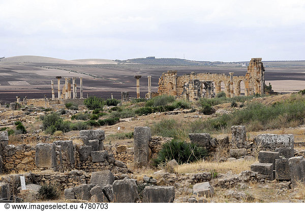 Ruinen der Basilika  archäologische Ausgrabung der antiken römischen Stadt Volubilis  UNESCO-Weltkulturerbe  Marokko  Afrika