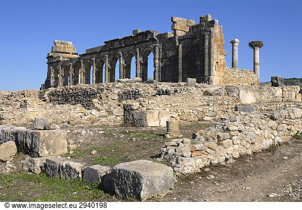 Ruinen der Basilika in der antiken Römerstadt Volubilis  Marokko  Afrika