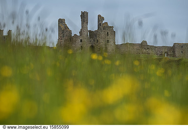 Ruinen der Burg Dunstanburgh Castle  Northumberland  England