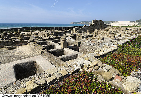 Ruinen der Fabrik zur Herstellung von Garum  archäologischer Park Baelo Claudia bei Tarifa  Andalusien  Spanien  Europa