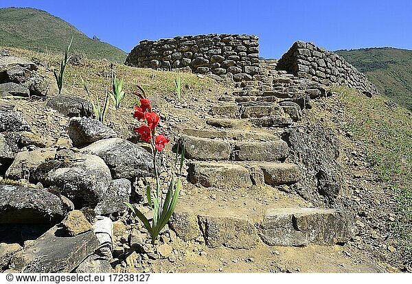 Ruinen der Inka  Huamanmarka  auch Wamanmarka  Provinz La Convención  Region Cusco  Peru  Südamerika