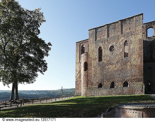 Ruinen der romanischen Basilika des Klosters Limburg an der Haardt  ehemalige Benediktinerabtei  Bad Dürkheim  Pfälzerwald  Rheinland-Pfalz  Deutschland  Europa