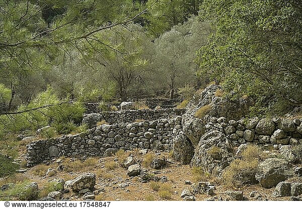 Ruinen der Siedlung Samaria  Samaria Schlucht  Kreta  Griechenland  Europa