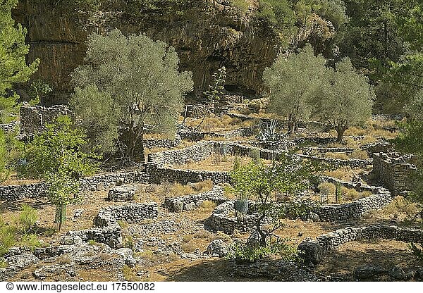 Ruinen der Siedlung Samaria  Samaria Schlucht  Kreta  Griechenland  Europa