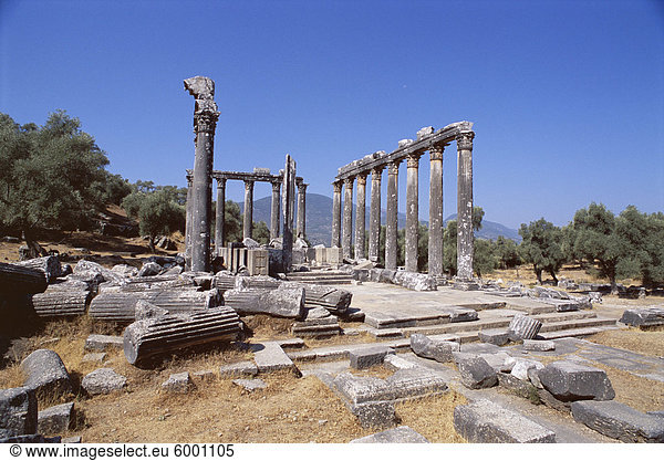 Ruinen der Tempel des Zeus,  Ausgrabungsstätte,  Euromos,  in der Nähe von Bodrum,  Anatolien,  Türkei,  Kleinasien