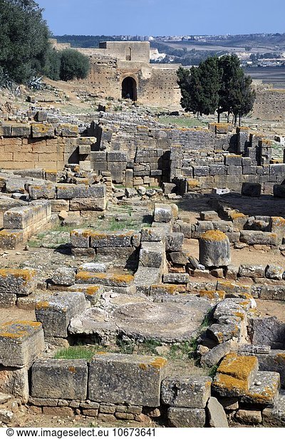 Ruinen der Totenstadt Nekropole Chellah,  Rabat,  Provinz Rabat,  Marokko,  Afrika