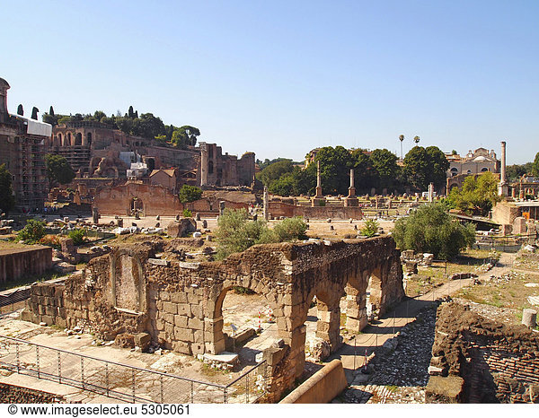 Ruinen im Forum Romanum  Rom  Latium  Italien  Europa