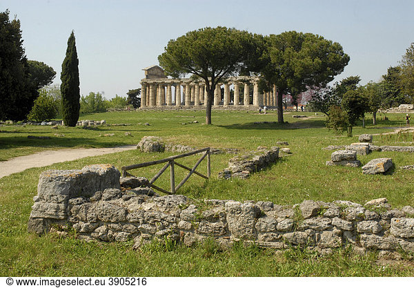 Ruinen in Paestum  hinten der Ceres-Tempel  Italien  Europa
