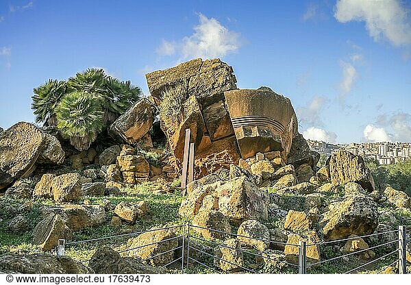 Ruinen  Tempel des Olympischen Zeus  archäologischer Park Valle dei Templi (Tal der Tempel)  Agrigent  Sizilien  Italien  Europa