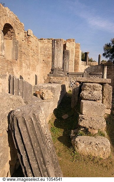 Ruinen von ´Palaestra´  antiken Olympia. Peloponnes. Griechenland