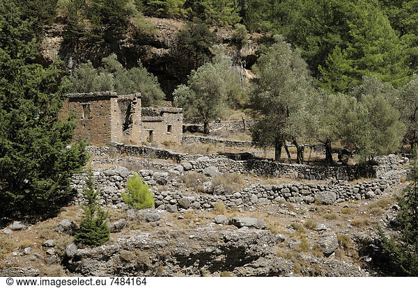 Ruinen von Samaria  Samaria-Schlucht  Kreta  Griechenland  Europa