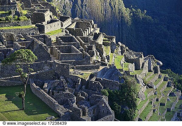 Ruinenstadt der Inka bei Sonnenaufgang  Machu Picchu  Provinz Urubamba  Peru  Südamerika