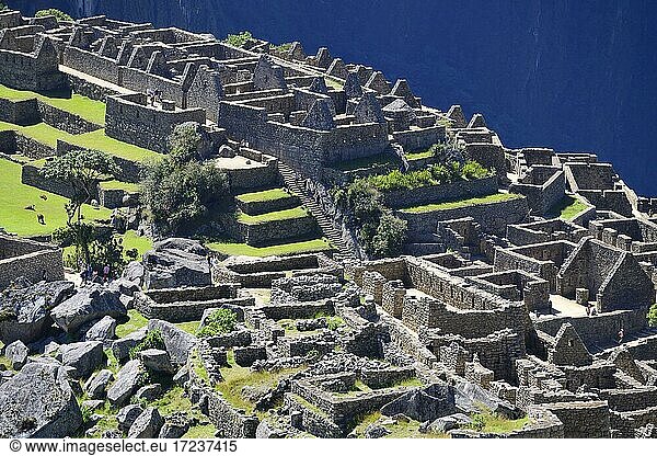 Ruinenstadt der Inka  Machu Picchu  Provinz Urubamba  Peru  Südamerika