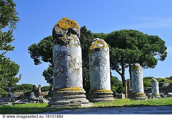 Ruinenstadt Ostia Antica  Rom  Lazio  Italien  Europa