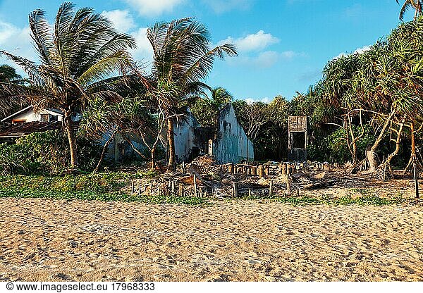 Ruins of a house on beach destroyed by tsunami  Hikkaduwa  Sri Lanka  Asia