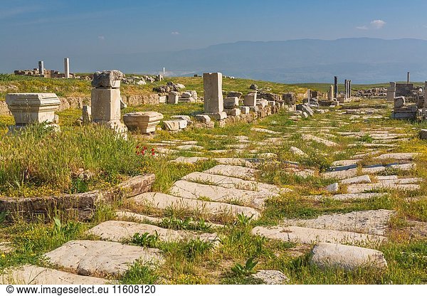 Ruins of ancient Laodicea on the Lycus  Denizli Province  Turkey.