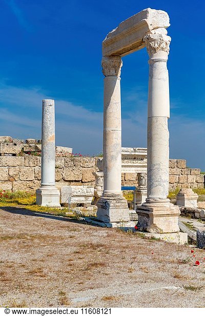 Ruins of ancient Laodicea on the Lycus  Denizli Province  Turkey.