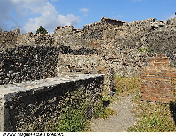 Ruins of Pompeii,  Naples Province,  Italy.