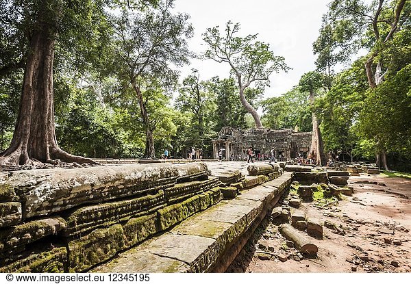 Ruins of Ta Prohm in Angkor compound (Siem Reap Province Cambodia).