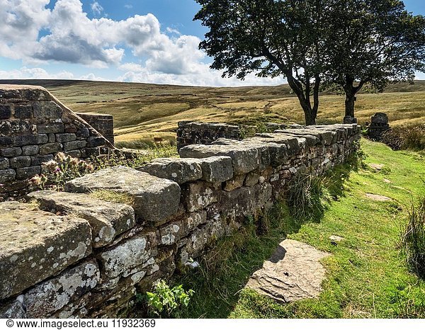 Ruins of Top Withins on Haworth Moor in Summer near Haworth West Yorkshire England.