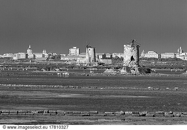 Ruins of windmills for salt production  salt pans with flamingos in front of the town  black and white photograph  Riserva naturale orientata saltworks di Trapani e Paceco landscape conservation area  Salt Road  west coast  Sicily  Italy  Europe