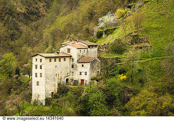 Rural dwellings on mountain side  Old hamlet  Contrada Giaconi  Val Frenzela  Valstagna  Veneto  Italy