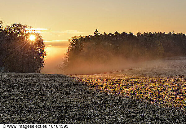 Rural field illuminated by rising sun