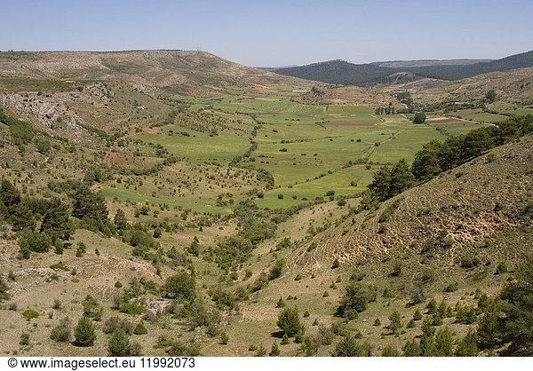 Rural landscape and valley with a flat bottom  typical feature of a karst area  Alto Tajo Natural Park  Guadalajara  Castilla La Mancha  Castile  Spain.