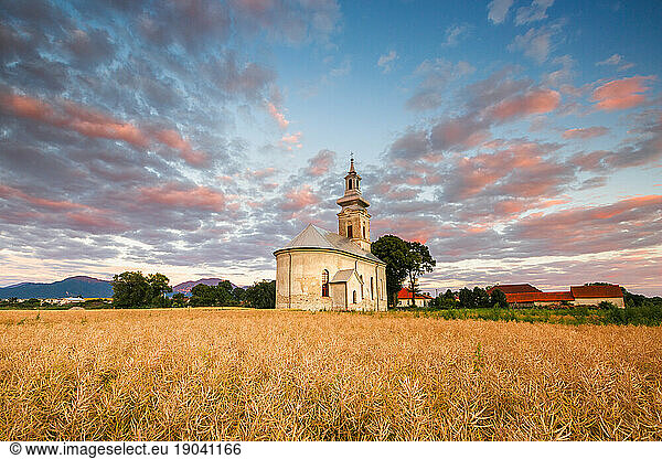 Rural landscape with wheat field and a church in Turiec  Slovakia.