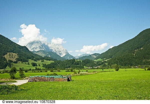 Rural scene  Wilder Kaiser  Tirol  Austria