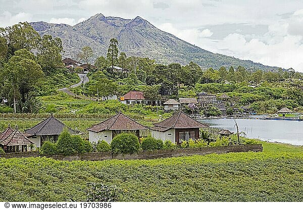 Rural village at the foot of Mount Batur  Gunung Batur  active volcano in the Bangli Regency  Bali  Indonesia  Asia