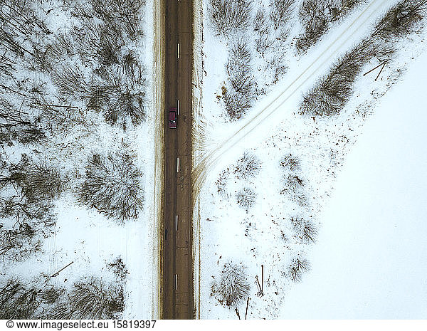 Russia  Moscow Oblast  Aerial view of bare trees surrounding countryside highway in winter