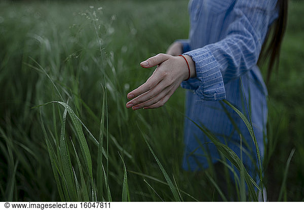 Russia  Omsk  Mid section of woman in tall grass