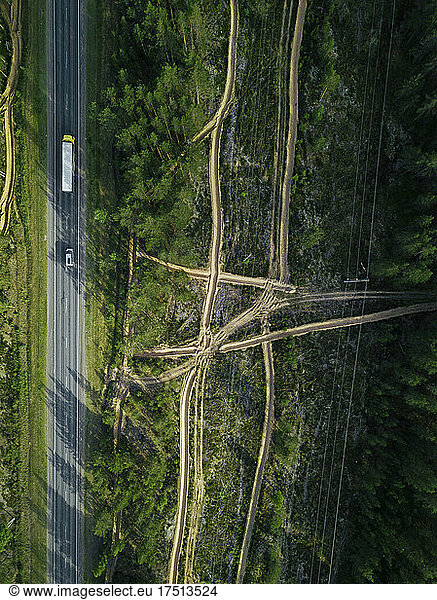 Russia  Petrozavodsk Oblast  Karelia  Road crossing forest  aerial view