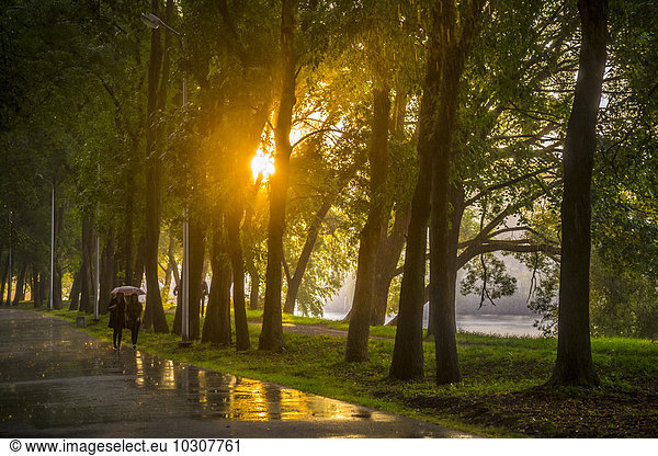 Russia  Saint Petersburg  People walking under trees on rainy street