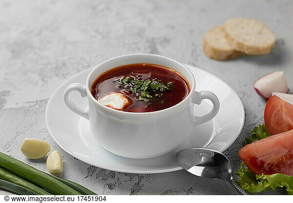 russian national red soup borscht