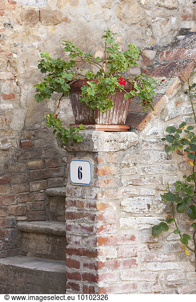 Rustic entryway into a traditional Tuscan home  a flowerpot on the stoop.