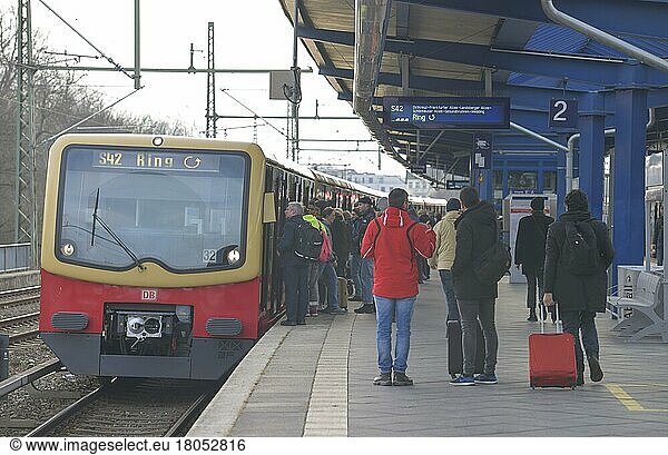 S-Bahn am S-Bahnhof Treptower Park  Treptow-Köpenick  Berlin  Deutschland  Europa