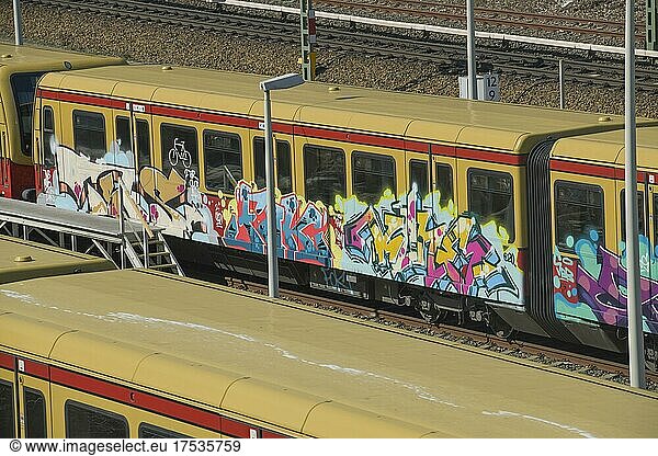 S-Bahn mit Graffiti am S-Bahnhof Westkreuz  Westend  Charlottenburg  Berlin  Deutschland  Europa