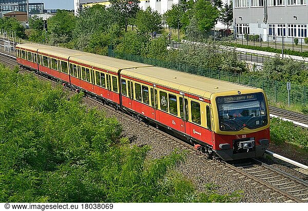 S-Bahn  Schöneberg  Berlin  Deutschland  Europa