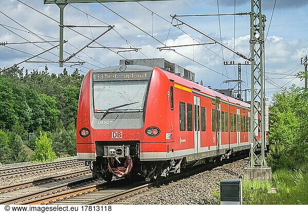 S-Bahn  Stadtwald  Frankfurt am Main  Hessen  Deutschland  Europa