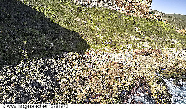 Südafrika  Robberg Nature Reserve  Luftaufnahme der Felsküste
