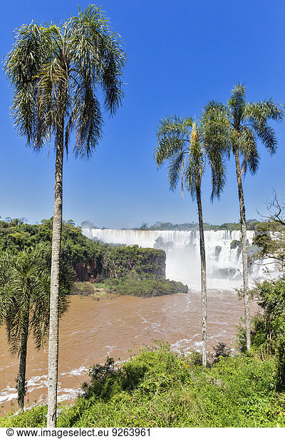 Südamerika Argentinien Parana Iguazu-Nationalpark Iguazu-Fälle
